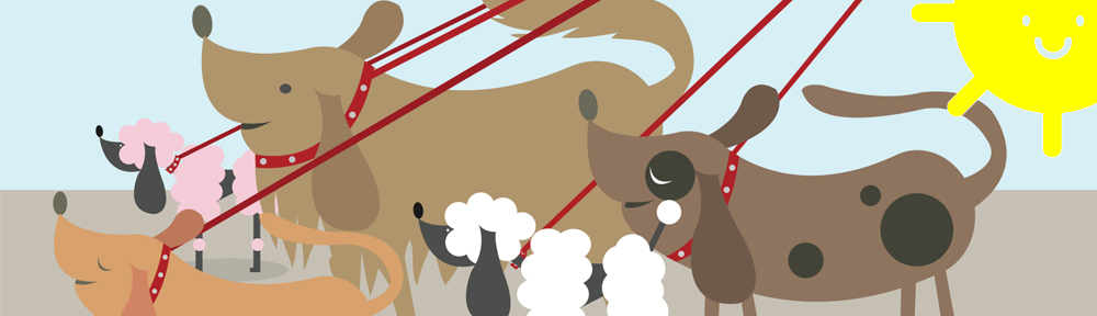 whiteheadwalkies.co.uk