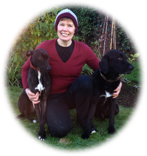 Joan Young of Whitehead Walkies with her two dogs