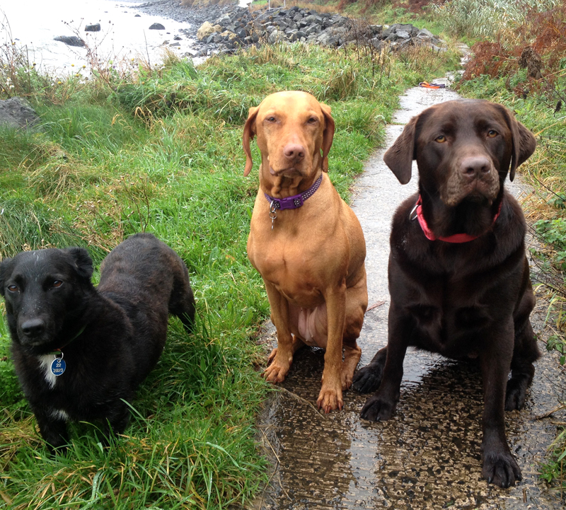 On their way to the lighthouse in Whitehead